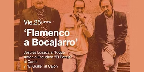 Flamenco a Bocajarro