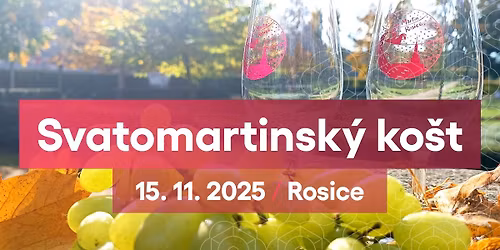 Svatomartinsk\u00fd ko\u0161t