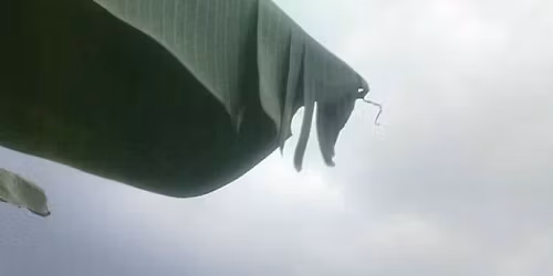 3 days prayer and fasting