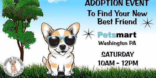 Adoption Event