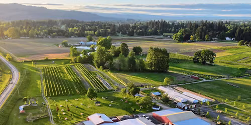 Make, Taste, or Unwind - Wednesday Evenings All Summer