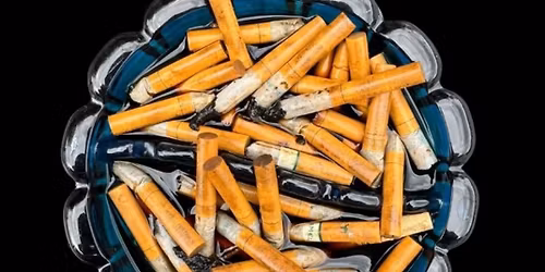 Telltale Presents: The 8th Annual You Won't Get What You Want show