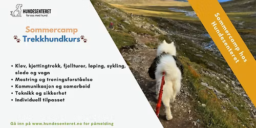 Sommercamp- Trekkhundkurs (ledige plasser)