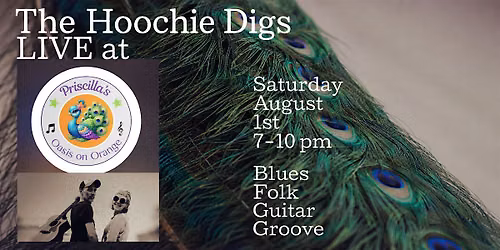 The Hoochie Digs in Concert - Folksy Fun Couple from Louisiana