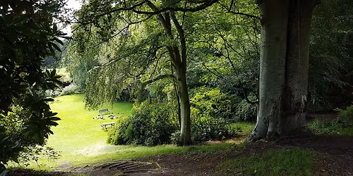 Focusing   En v\u00e4g till n\u00e4rvaro, f\u00f6rnimmande och kroppens kunskap