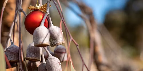 Adelaide Hills Christmas Celebration - Norton Summit