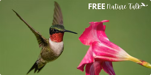 FREE Talk: "Hummingbird Migration in the RGV"