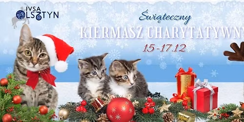 \u015awi\u0105teczny Kiermasz Charytatywny IVSA Olsztyn