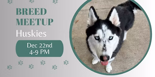 \u2744\ufe0f\ud83d\udc3e BREED MEETUP \u2013 HUSKIES