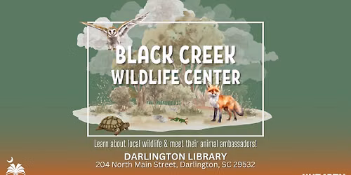 Black Creek Wildlife Center