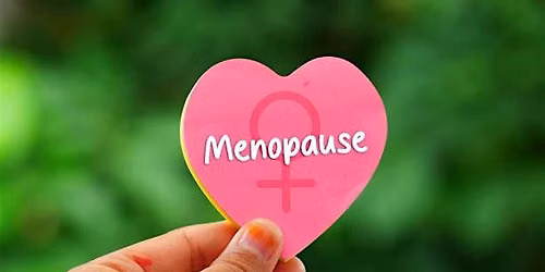 The Playful Guide to Menopause