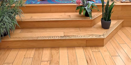 \ud83c\udf15 Full Moon in Cancer Yoga, Guided Meditation & Sound Bath \ud83c\udf15