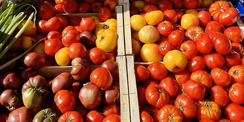 Farmer's Market Fresh Salsa Class