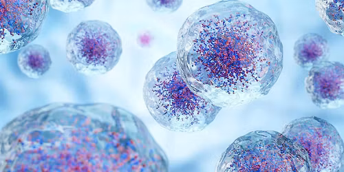 Managing Acute Oncology:  Toxicities, Complications and Challenges