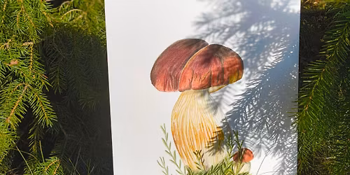 rysunek botaniczny dla pocz\u0105tkuj\u0105cych\/ warsztaty \/ grzyby