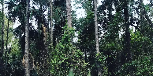 Oak Hill Drifters at Wekiva Island