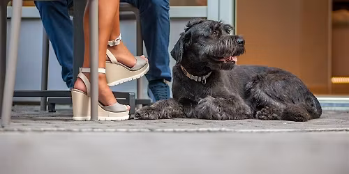 Matchmaking & Social Events in Raleigh