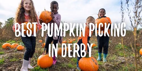 Pumpkin Picking - Access to Pumpkin Village Only