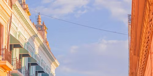 Vegan Ventures Merida\/Yucatan Group Tour Feb. 2026