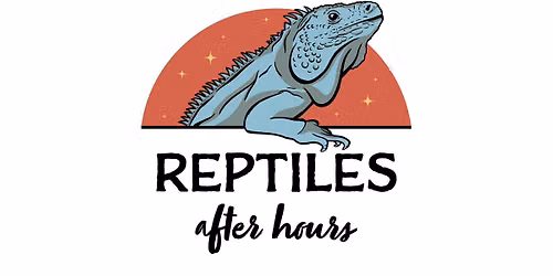 Reptiles After Hours