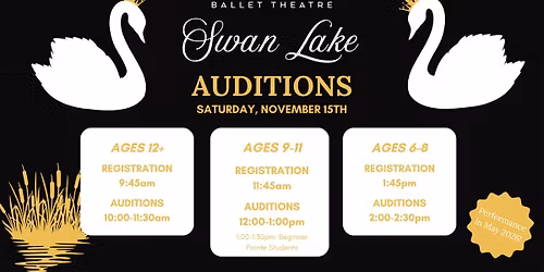 Swan Lake Auditions