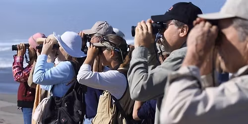 Beginner Birding Outing