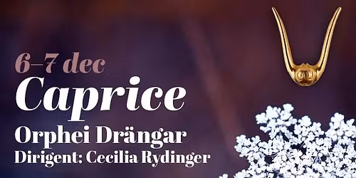 Caprice 2025 med Orphei Dr\u00e4ngar