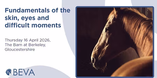 Fundamentals of the skin, eyes and difficult moments