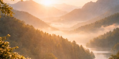 Understanding Self-Care Workshop (2 half days) Friday 4th and 11th Sept