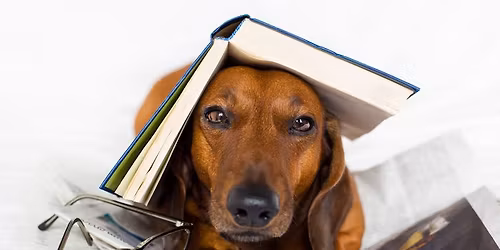 Converse-Jackson Township Public Library Reading to the Dogs 