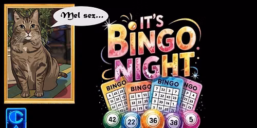 BINGO! after dark \ud83d\udcab\ud83d\udcab\ud83d\udcab