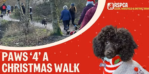 Paws '4' a Christmas Walk 2025