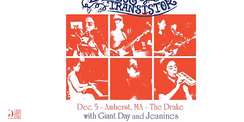 The Ladybug Transistor at The Drake (Amherst, MA)