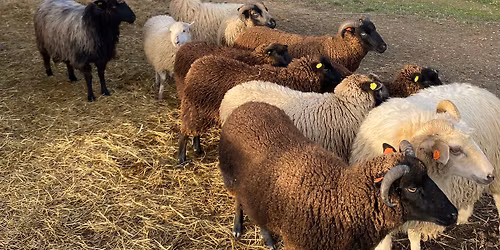 Jarn\u00ed semin\u00e1\u0159 s Martou Chmiel, Zl\u00edn-Louky&Halenkovice