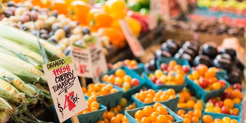 Girls\u2019 Farmers Market Morning at Chiropractic House