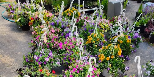 Mother's Day Build-A-Basket Event