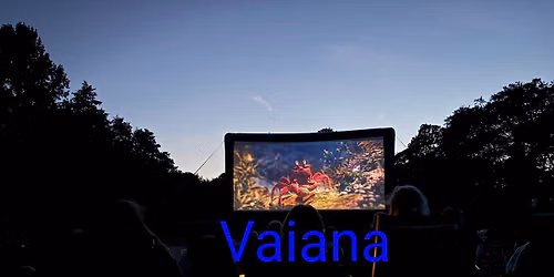 Mondscheinkino "Vaiana" Der Spielfilm 2026