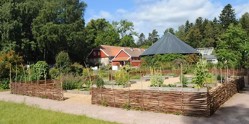 Omvisning om kloster- og ballastplanter