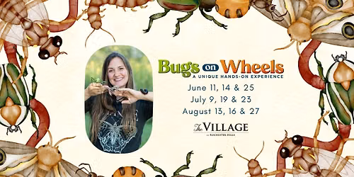 Bugs On Wheels