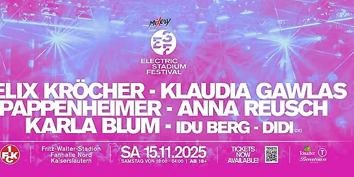 Mixery Electric Stadium Festival 2025