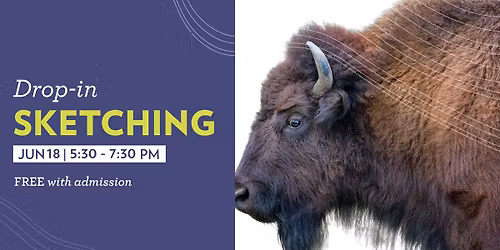 Drop-in Sketching: Animals for Indigenous History Month