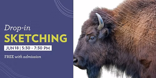 Drop-in Sketching: Animals for Indigenous History Month