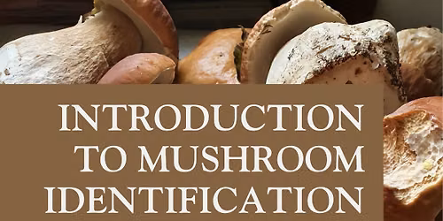 Mushroom Identification with Leah Bendlin at Tillamook Library 