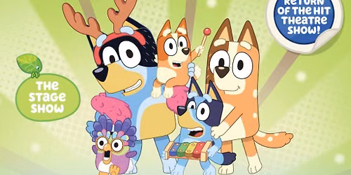 Bluey's Big Play