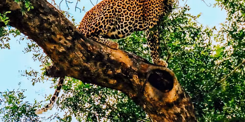 Waterfalls and Wildlife: All Paved Tour