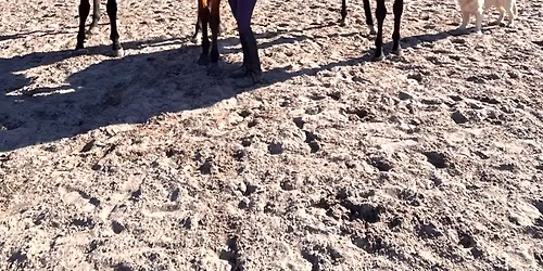 Kentucky Derby Fundraiser