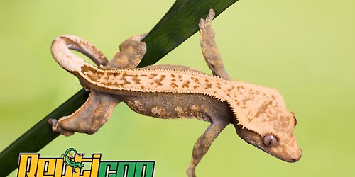 Repticon - Grapevine Convention Center