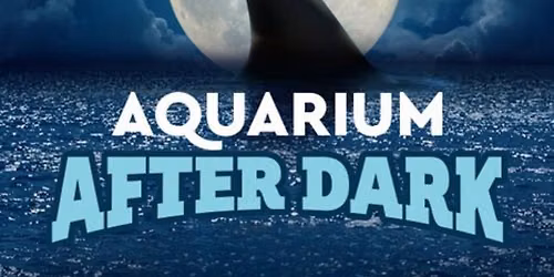 Aquarium After Dark
