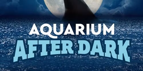 Aquarium After Dark
