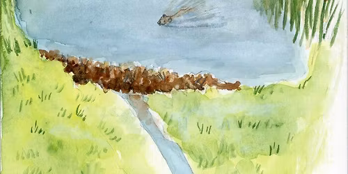 Balade naturaliste : Branche-toi !